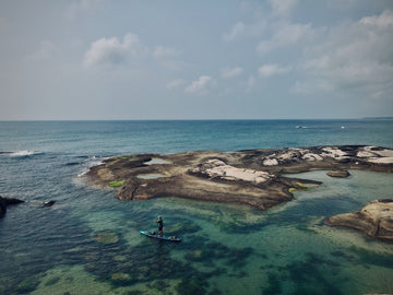 Bag by bag, deplastify Our Oceans on World Ocean Day 2022